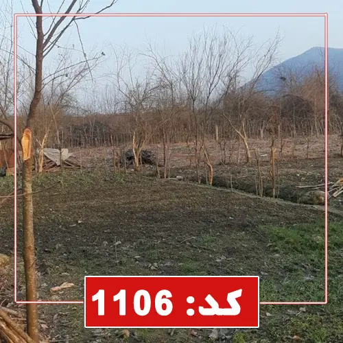 محوطه و درختان کاشته شده در زمین 1000 متری با کاربری باغی در تایباد 87687678678