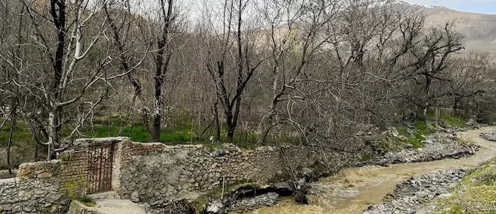 عبور رودخانه از دل طبیعت سرسبز روستای بوژان 57656566566