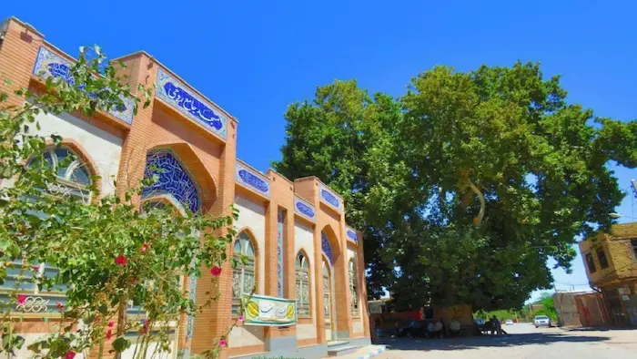 نمای ساحتمان بیرونی مسجد جامعه قدیمی گناباد در کنار درخت سرسبز 25626