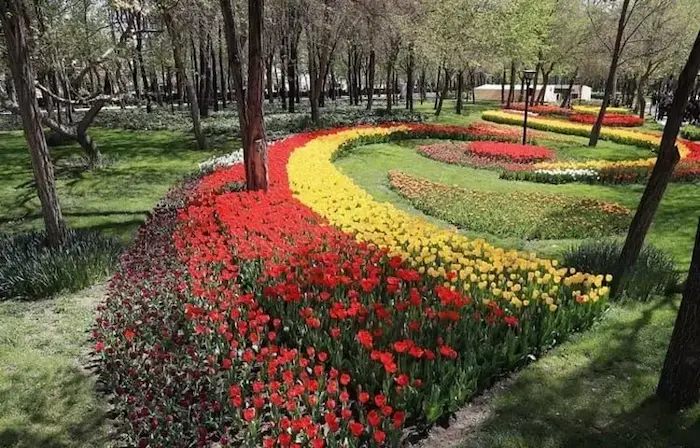 محوطه سازی و گل های روییده قرمز و زرد در پارک بانوان گتاباد 564564