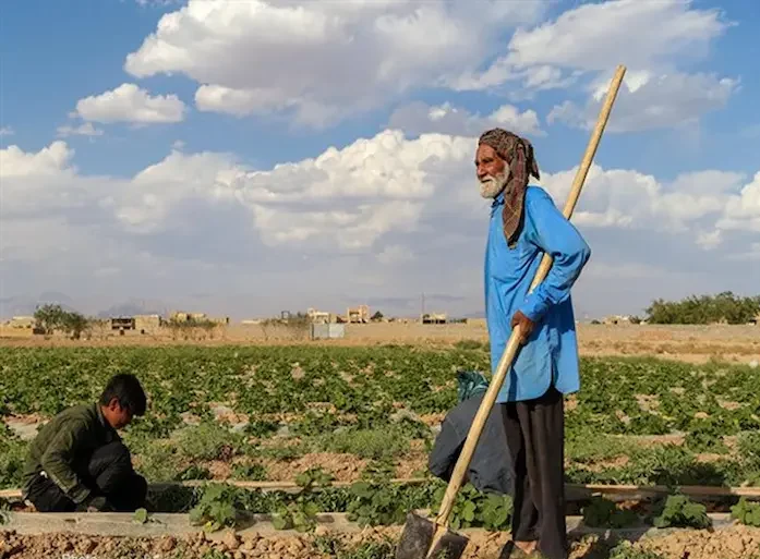 کشاوری دو مرد در روستای گیسور گناباد 487567857