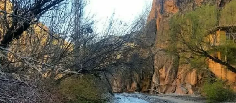 آب های جاری شده از کوه و درختان زمستانی دره آل مشهد 541646416526