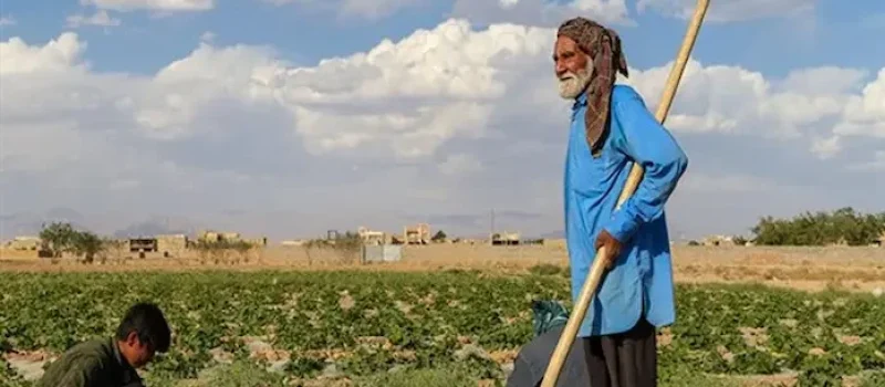 کشاوری دو مرد در روستای گیسور گناباد 487567857